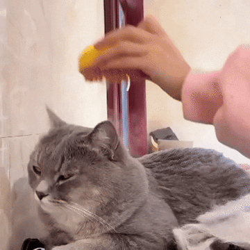 Cepillo a Vapor 4 en 1 Para Perros y Gatos